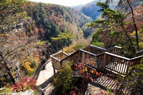 A wooden overlook with railings offers a view of a colorful, forested canyon in autumn.