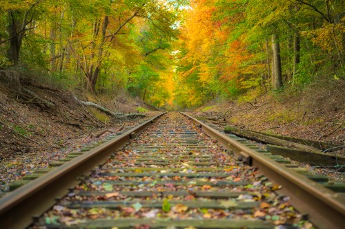 A tranquil view of a railway track surrounded by vibrant autumn foliage and trees.