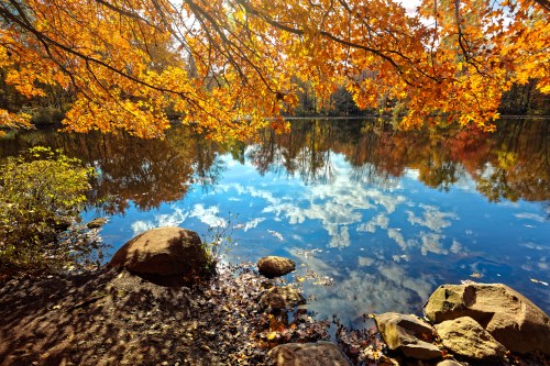 A serene lake surrounded by autumn foliage, reflecting colorful trees and clouds in the calm water.