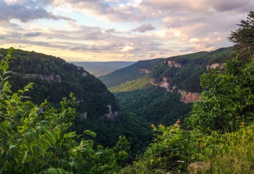 A scenic view of a lush green valley surrounded by steep cliffs under a cloudy sky.