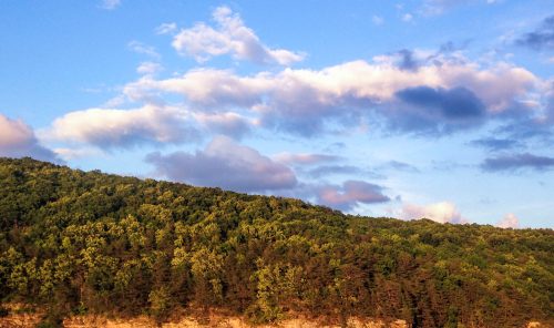 A lush green hillside under a blue sky with fluffy clouds, capturing a serene natural landscape.
