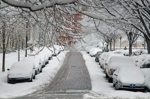 A snowy street lined with parked cars covered in thick snow, with trees and buildings in the background.
