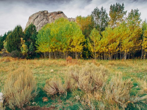 A rocky outcrop rises behind a grove of vibrant autumn trees and grassy shrubs in a serene landscape.