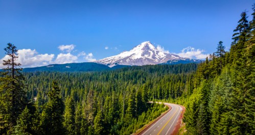 A winding road leads through lush green forests, with a snow-capped mountain in the background under a clear blue sky.