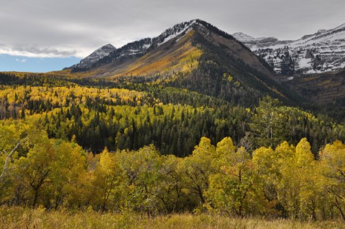 A scenic view of mountains with autumn foliage, featuring vibrant yellow trees and snow-capped peaks under a cloudy sky.