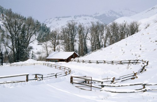 A snowy landscape featuring a red cabin, wooden fences, and bare trees against a backdrop of snow-covered hills.