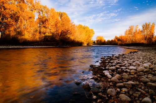 A serene river flows through a landscape of vibrant autumn trees, with colorful reflections on the water and pebbled shore.