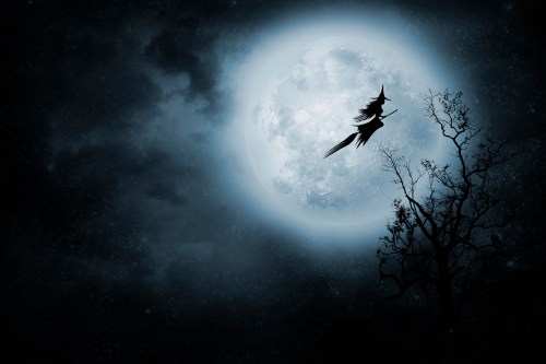 A silhouette of a witch flying on a broomstick against a large, glowing full moon and a dark, barren tree.