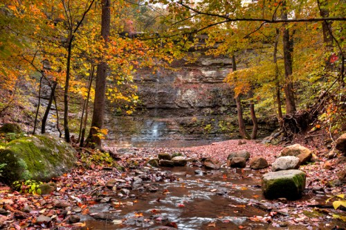 A serene forest scene with colorful autumn leaves, a small stream, and rocky terrain under a rocky cliff.