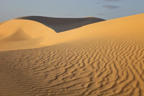 Golden sand dunes with gentle curves and textured patterns under a clear sky.