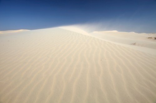 A vast sandy dune under a clear blue sky, with gentle ripples in the sand and a light breeze creating a soft texture.