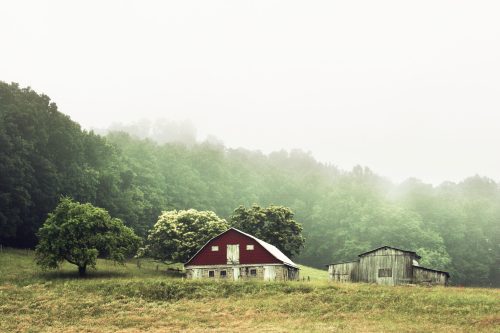 A red barn and a weathered shed surrounded by lush green trees in a misty landscape.