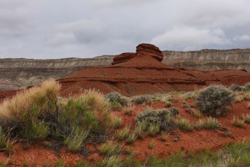 A red rock formation rises amidst green shrubs and grasses under a cloudy sky in a desert landscape.
