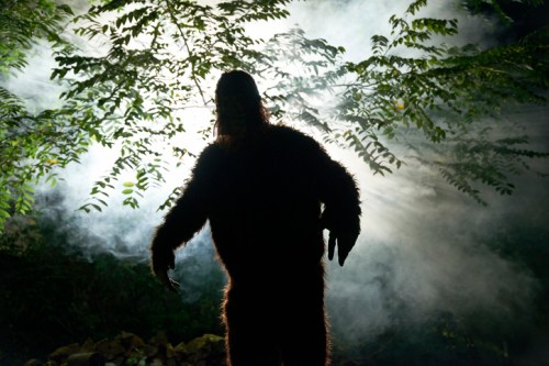 Silhouette of a large, furry creature in a misty forest, surrounded by trees and soft light.