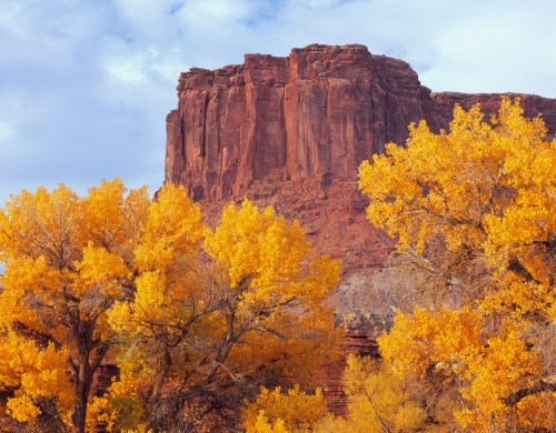 A towering red rock formation rises above vibrant yellow autumn trees under a cloudy sky.