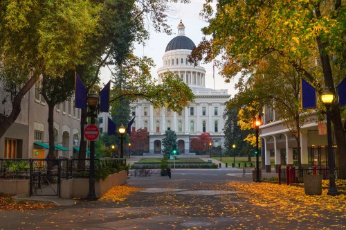 A view of a government building surrounded by autumn foliage and fallen leaves on the ground.