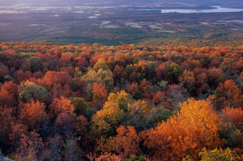 A panoramic view of vibrant autumn foliage covering rolling hills, with a river and distant mountains in the background.