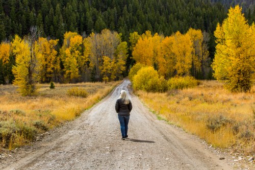 A person with long gray hair walks down a dirt road surrounded by vibrant autumn trees.