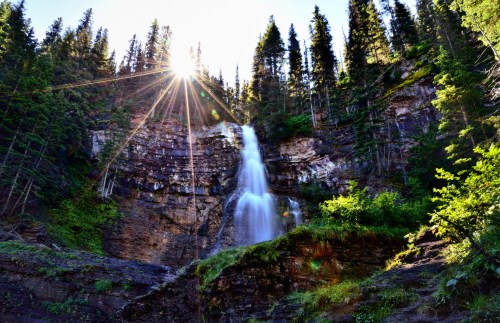 A waterfall cascades down rocky cliffs, surrounded by lush green trees, with sunlight streaming through the forest.