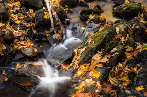 A serene stream flows over rocks, surrounded by colorful autumn leaves in a tranquil natural setting.