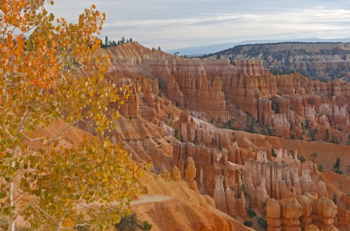 A scenic view of orange-hued rock formations and cliffs, with autumn foliage in the foreground.