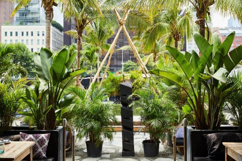 Lush greenery surrounds a modern outdoor space with palm trees and a decorative structure in the background.