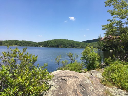 A serene lake surrounded by lush greenery and hills under a clear blue sky.