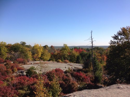 A scenic view of colorful autumn foliage and a clear blue sky over rocky terrain.