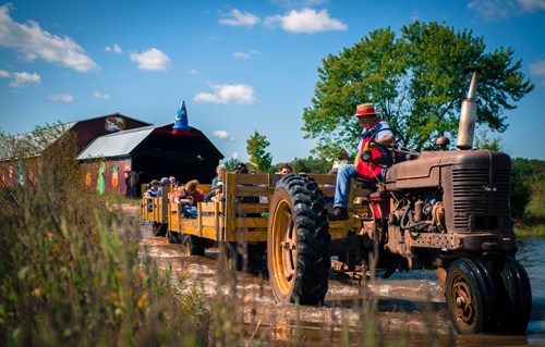 A tractor pulls a wooden wagon filled with people through a field on a sunny day, with a barn in the background.