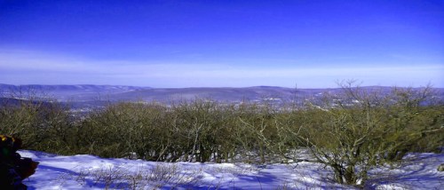 A snowy landscape with bare trees and rolling hills under a clear blue sky.
