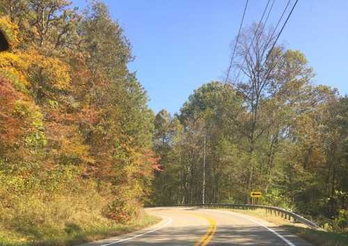 Curving road surrounded by trees with autumn foliage under a clear blue sky.