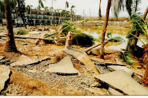 Devastated landscape with uprooted palm trees, cracked pavement, and a flooded area near damaged buildings.