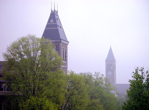 Foggy scene featuring two clock towers peeking through lush green trees.