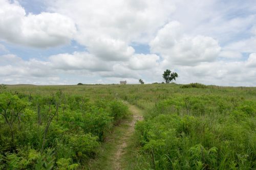 A grassy path leads through a field under a cloudy sky, with a distant building and a lone tree visible.