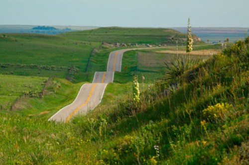 A winding road stretches through lush green hills under a clear sky, surrounded by wildflowers and grass.