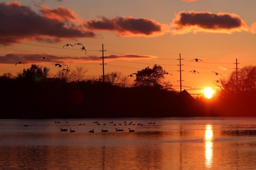 Silhouetted ducks on a lake at sunset, with birds flying and colorful clouds in the sky.