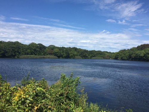 A serene lake surrounded by lush greenery under a bright blue sky with scattered clouds.