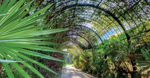 A lush, green garden path with an arching trellis covered in foliage, surrounded by vibrant plants.