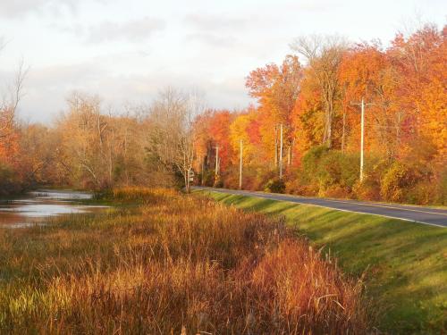 A scenic view of a road lined with vibrant autumn trees and a calm waterway beside it.