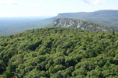 A panoramic view of lush green forests and a rocky cliff under a clear blue sky.