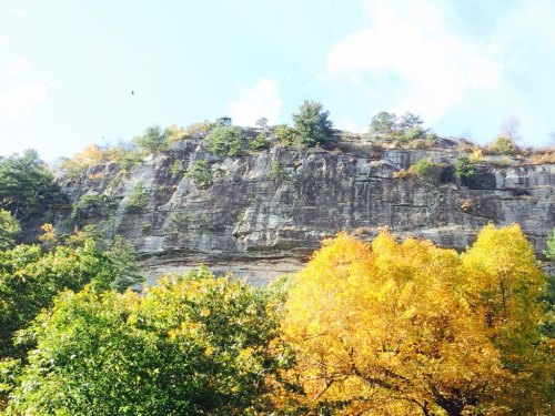 A rocky cliff surrounded by vibrant autumn trees in shades of yellow and green under a blue sky.