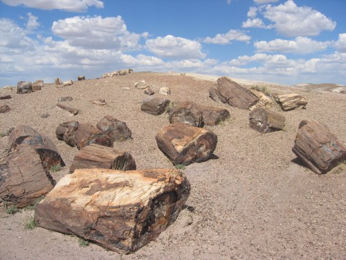 Petrified wood logs scattered across a rocky landscape under a blue sky with fluffy clouds.