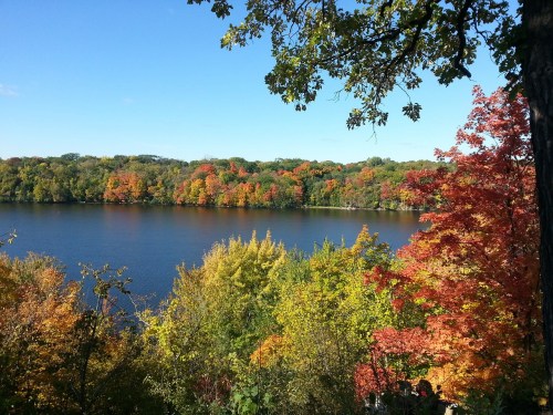 A serene lake surrounded by vibrant autumn foliage under a clear blue sky.