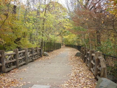 A serene pathway through a forest, lined with wooden railings and surrounded by autumn foliage and fallen leaves.