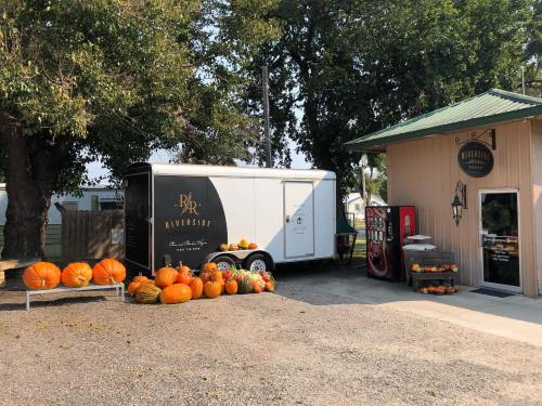A food truck parked beside a building, surrounded by pumpkins and a vending machine in a rural setting.