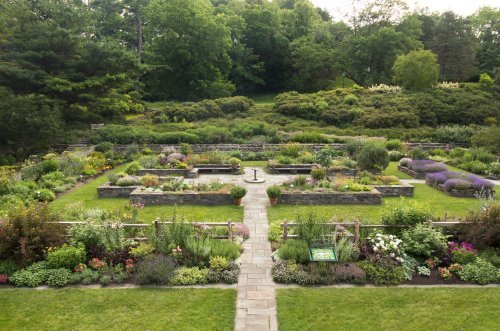 A lush garden with stone pathways, vibrant flowers, and greenery, featuring a central fountain and neatly arranged beds.