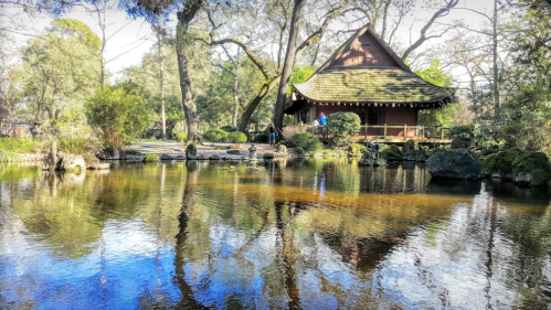 A serene garden scene featuring a pond reflecting a traditional wooden building surrounded by lush greenery.