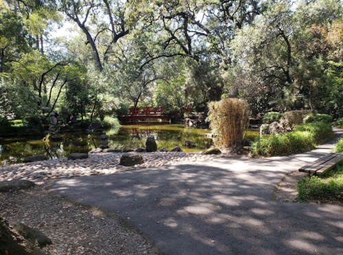 A serene garden scene featuring a pond, lush greenery, a stone path, and a red bridge in the background.