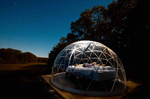 A person sleeps inside a transparent dome under a starry night sky, surrounded by trees and open fields.