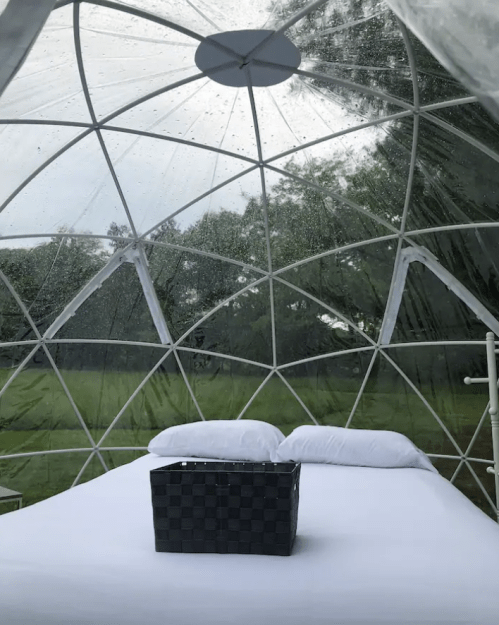 A cozy, transparent dome with a bed and a basket, surrounded by greenery and rain on the interior.